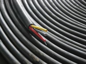 卷筒电缆线（3×10+钢）2